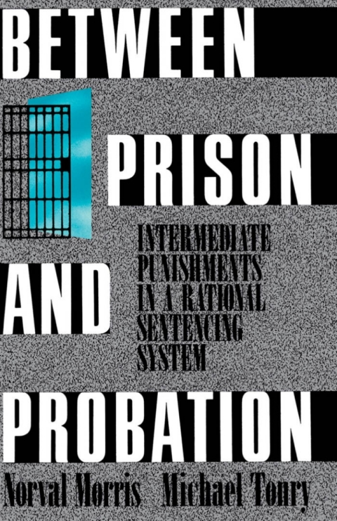 Book Between Prison and Probation free