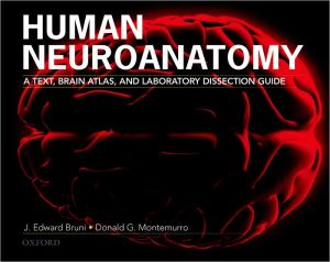 Book Human Neuroanatomy: A Text, Brain Atlas and Laboratory Dissection Guide free