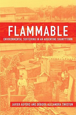 Book Flammable: Environmental Suffering in an Argentine Shantytown free
