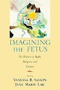 Book Imagining the Fetus the Unborn in Myth, Religion, and Culture (American Academy of Religion Cultural Criticism series) free