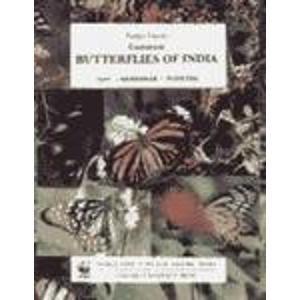 Book Common Butterflies of India (Nature Guides) free