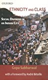 Book Ethnicity And Class: Social Divisions In An Indian City free