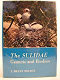 Book The Sulidae: Gannets and boobies (Aberdeen University studies series) free