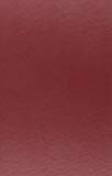 Book Proceedings of the British Academy, Volume 162, 2008 Lectures (Proceedings of the British Academy (162)) free
