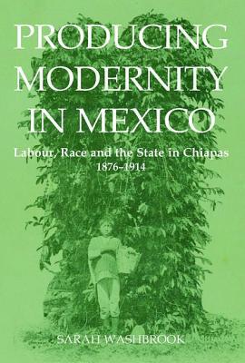 Book Producing Modernity in Mexico free