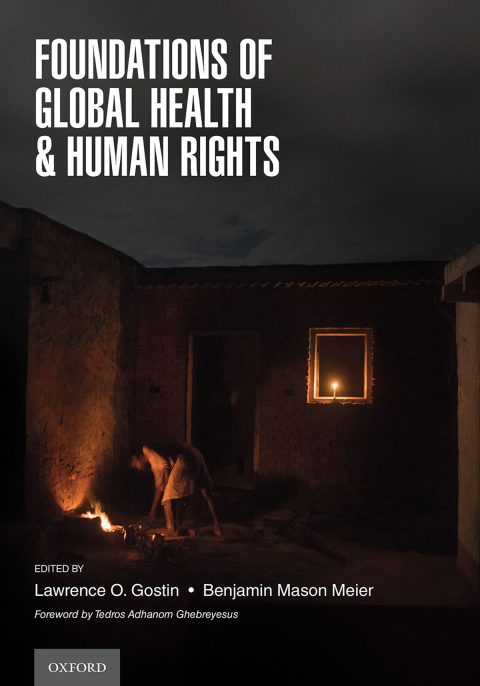 Book Foundations of Global Health & Human Rights free