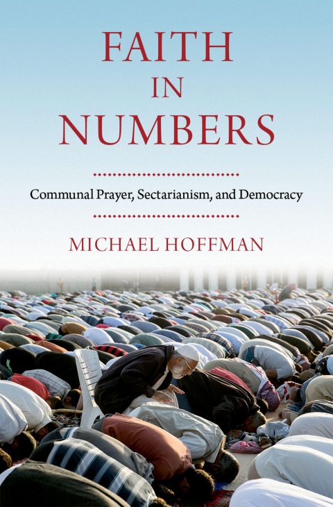Book Faith in Numbers: Religion, Sectarianism, and Democracy free