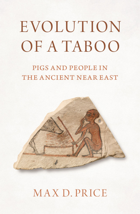 Book Evolution of a Taboo free
