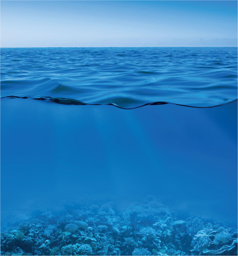 Book Marine Biology free