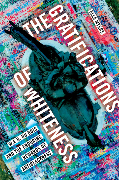 Book The Gratifications of Whiteness free