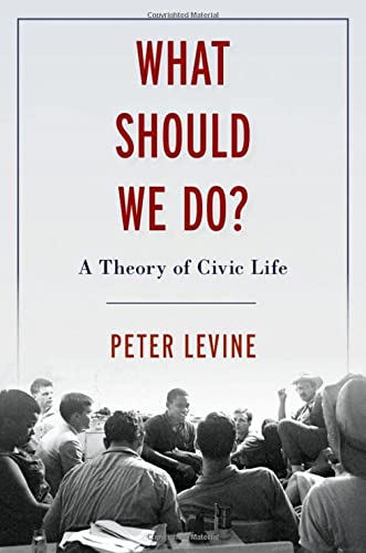 Book What Should We Do?: A Theory of Civic Life free