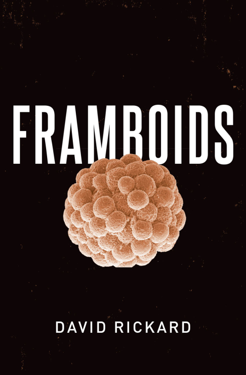 Book Framboids free