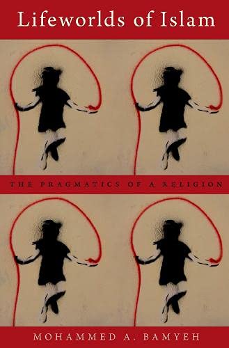 Book Lifeworlds of Islam: The Pragmatics of a Religion free