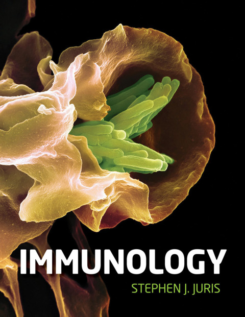 Book Immunology free