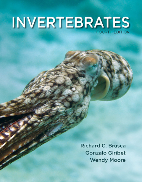 Book Invertebrates free