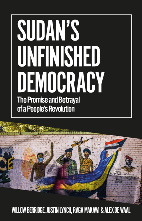 Book Sudan's Unfinished Democracy: The Promise and Betrayal of a People's Revolution (African Arguments) free