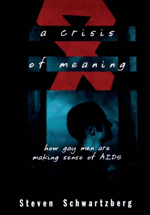 Book A Crisis of Meaning: How Gay Men Are Making Sense of AIDS free