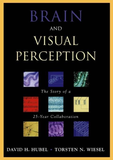 Book Brain and Visual Perception free