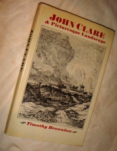 Book John Clare and Picturesque Landscape free