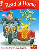 Book Looking After Gran (Read at Home, Level 4a) free