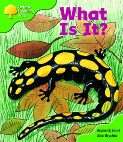 Book Oxford Reading Tree: Stage 2: More Patterned Stories: What Is It?: Pack A free