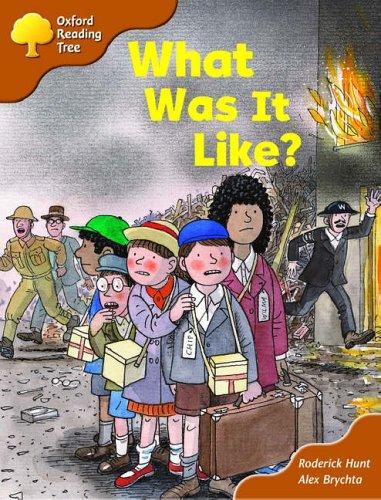 Book Oxford Reading Tree: Stage 8: More Storybooks (Magic Key): What Was It Like? free
