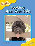 Book Oxford Reading Tree: Level 5: Fireflies: Looking After Your Dog free
