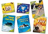 Book Oxford Reading Tree: Stage 7: Fireflies: Pack (6 Books, 1 of Each Title) free
