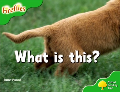 Book Oxford Reading Tree: Stage 2: More Fireflies A: What Is This? free