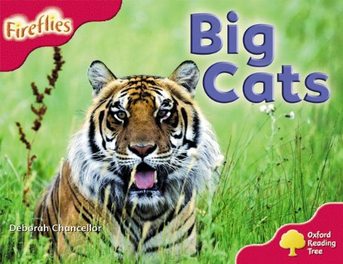 Book Oxford Reading Tree: Stage 4: More Fireflies A: Big Cats free