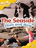 Book Oxford Reading Tree: Level 5: More Fireflies A: The Seaside free