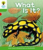 Book Oxford Reading Tree: Level 2: More Patterned Stories A: What Is It? free
