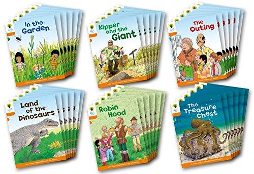 Book Oxford Reading Tree: Stage 6: Stories: Class Pack of 36 free