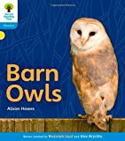 Book Oxford Reading Tree: Level 3: Floppy's Phonics Non-Fiction: Barn Owls free