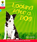 Book Oxford Reading Tree: Level 4: Floppy's Phonics Non-Fiction: Looking After a Dog free