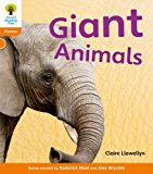 Book Oxford Reading Tree: Level 6: Floppy's Phonics Non-Fiction: Giant Animals free