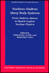 Book Nucleon-hadron Many Body Systems free