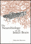 Book The Neurobiology of an Insect Brain free