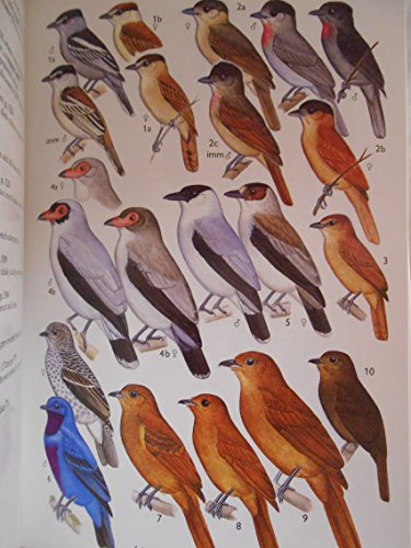 Book A Guide to the Birds of Mexico and Northern Central America free