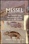 Book Messel: An Insight into the History of Life and of the Earth free
