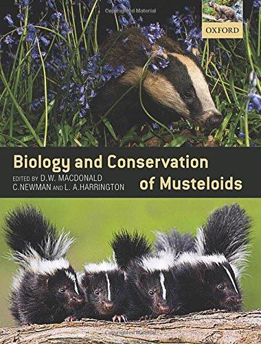Book Biology and Conservation of Musteloids free