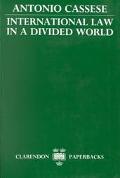 Book International Law in a Divided World free