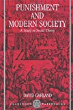 Book Punishment and Modern Society free