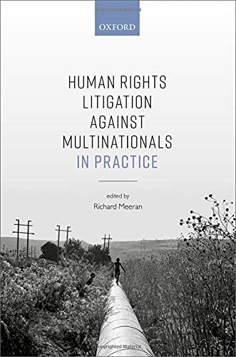 Book Human Rights Litigation against Multinationals in Practice free