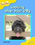 Book Oxford Reading Tree: Stage 5: Fireflies: Looking After Your Dog free