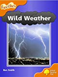 Book Oxford Reading Tree: Stage 6: Fireflies: Wild Weather free