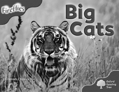 Book Oxford Reading Tree: Stage 4 (Pack A): More Fireflies: Big Cats free