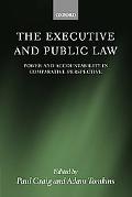 Book The Executive and Public Law: Power and Accountability in Comparative Perspective free