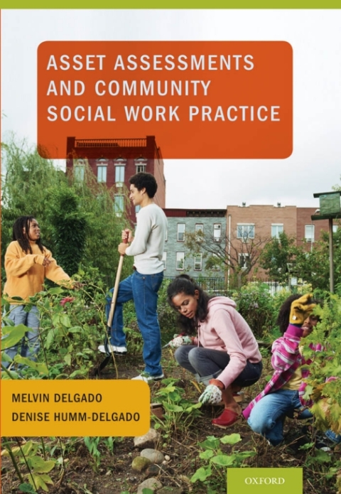 Book Asset Assessments and Community Social Work Practice free