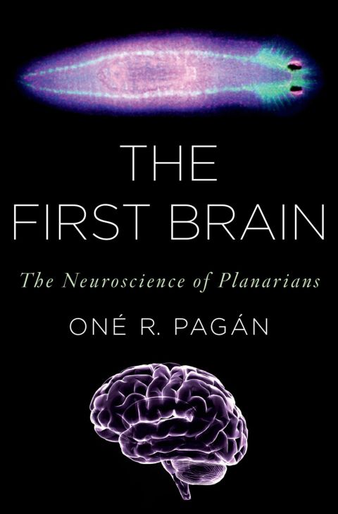 Book The First Brain free